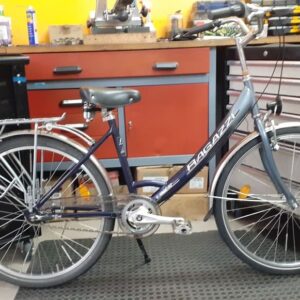 Tiefeinsteiger mit Shimano 3-Gang-Nabenschaltung und Marathon Plus-Reifen hinten